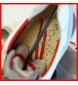 2015 New Ecco Mens Golf Shoes BIOM Zero Plus WHITE / FIRE EU 40 41 42 43 $200